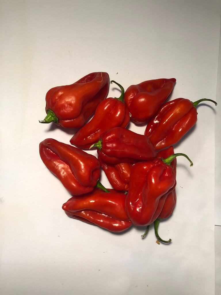 Hot Pepper (Scotch Bonnets)