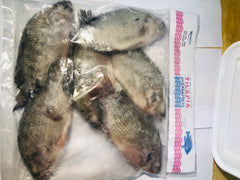 Tilapia (Small Size)