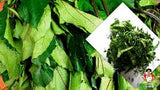 Fresh Ugu Leaves